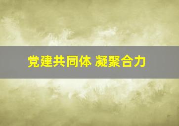 党建共同体 凝聚合力